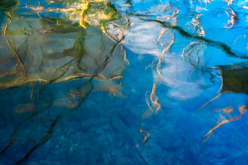 Fluidity of the Real